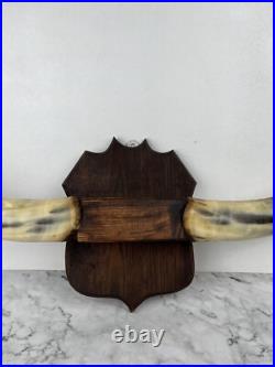 Taxidermie Trophée Corne de Vache Vintage