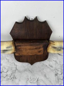 Taxidermie Trophée Corne de Vache Vintage
