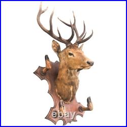 Taxidermie Trophée chasse tête de cerf 10 cors 4 pieds servant de porte manteau