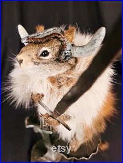 Taxidermie écureuil Viking