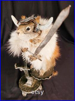 Taxidermie écureuil Viking