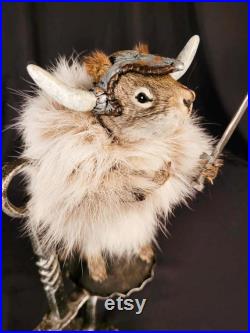 Taxidermie écureuil Viking