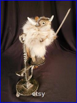 Taxidermie écureuil Viking