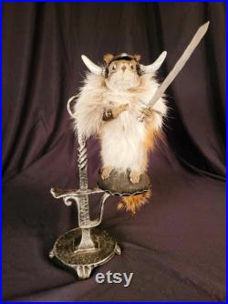 Taxidermie écureuil Viking