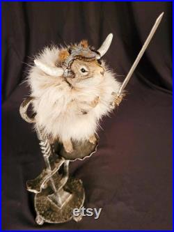 Taxidermie écureuil Viking