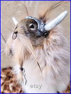 Taxidermie écureuil roux Viking barbu