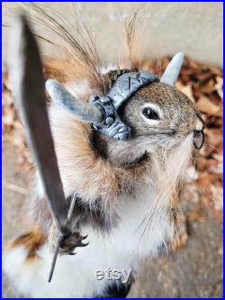 Taxidermie écureuil roux Viking barbu