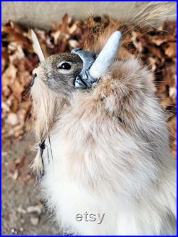 Taxidermie écureuil roux Viking barbu