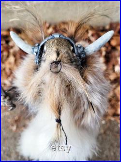 Taxidermie écureuil roux Viking barbu