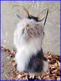 Taxidermie écureuil roux Viking barbu