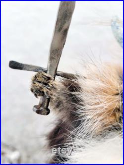 Taxidermie écureuil roux Viking barbu