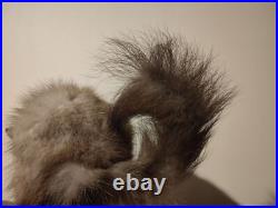 Taxidermie fouine sur ardoise