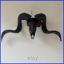 Taxidermie peinte à la main de crâne de mouton avec la corne noire, beau crâne décoratif Oddity Curio
