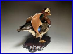 Taxidermie pour animaux en peluche, oiseau aquatique, oiseaux du bord de l'eau