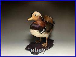 Taxidermie pour animaux en peluche, oiseau aquatique, oiseaux du bord de l'eau