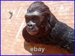 Taxidermie statue réplique trophée gorille Africain en résine et fausse fourrure