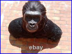 Taxidermie statue réplique trophée gorille Africain en résine et fausse fourrure
