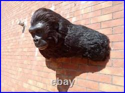 Taxidermie statue réplique trophée gorille Africain en résine et fausse fourrure
