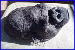 Taxidermie statue réplique trophée gorille mâle en résine