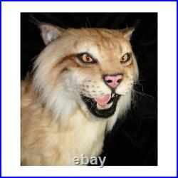 Taxidermie statue réplique trophée lynx en résine et fausse fourrure