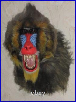 Taxidermie statue réplique trophée mandrill en résine et fausse fourrure