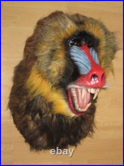 Taxidermie statue réplique trophée mandrill en résine et fausse fourrure