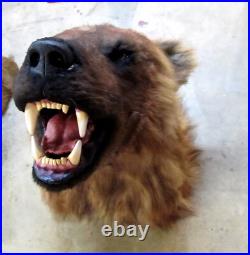 Taxidermie statue réplique trophée ours brun en résine et fausse fourrure