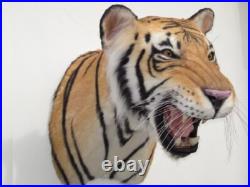 Taxidermie statue réplique trophée tigre du Bengal en résine et fausse fourrure