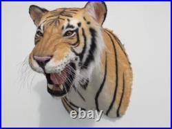 Taxidermie statue réplique trophée tigre du Bengal en résine et fausse fourrure