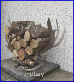 Taxidermie taxidermy porte buche en bois de Wapiti cerf