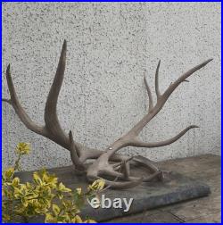 Taxidermie taxidermy porte buche en bois de Wapiti cerf