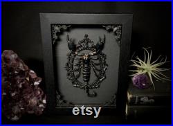 Taxidermy Scorpion réel dans Ornate Gothic Black Shadowbox Witch Halloween Art