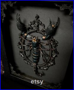 Taxidermy Scorpion réel dans Ornate Gothic Black Shadowbox Witch Halloween Art
