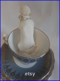 Taxidermy Teacup Mouse Lucille