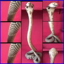 Taxidermy oddities cabinet de curiosités full mount serpent