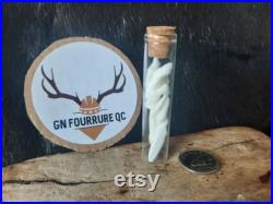 Teeth Bottles Pot de Dents