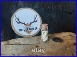 Teeth Bottles Pot de Dents