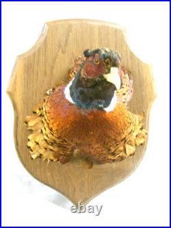 Tête De Faisan Naturalise Oiseau Taxidermie Trophee Cabinet De Curiosite