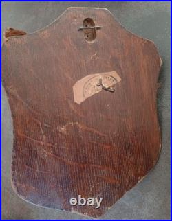 Tête de renard naturalisé (taxidermie)