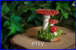 Trio d'amanites tue-mouches pour cabinet de curiosités decoration sorcière funghi fungi champignon mushroom céramique faïence moody cottage