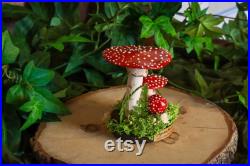Trio d'amanites tue-mouches pour cabinet de curiosités decoration sorcière funghi fungi champignon mushroom céramique faïence moody cottage