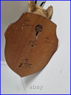 Trophée Tête Chamois Naturalisé 1979 Taxidermie Signé