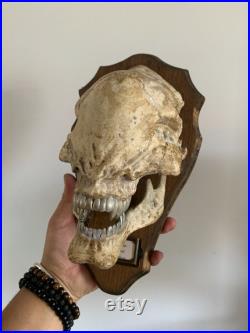Trophée crâne d'Alien Xenomorphe Oddities Cabinet de curiosités