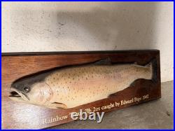 Truite Taxidermie Vintage 1947