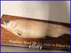 Truite Taxidermie Vintage 1947