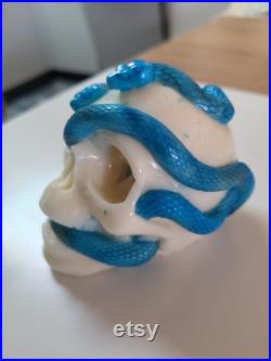 Une tête de mort avec un serpent qui sort de son orbite en s'enroulant autour de son crâne Une tête de mort avec un serpent qui sort de son orbite en s'enroulant autour de son crâne