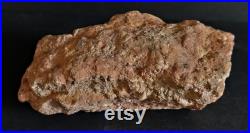 Vanadinite Maroc 600 gr 5 X 13 cm