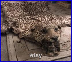 Vendu pour M. Nelson Pas à vendre.Leopard Skin Tapis vintage années 1930-40s Taxidermie Big Cat Home Decor