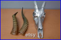 Véritable antilope crâne Blesbok crâne cerf crâne animal crâne peint argent