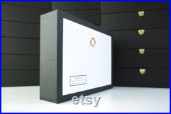 Véritable araignée naturalisée sous cadre entomologique Mygale Cyriopagopus minax (Insecte, entomologie, taxidermie, curiosité)